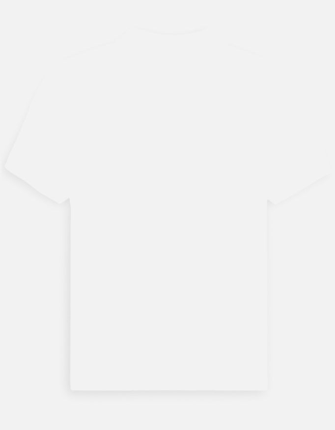 Back_3_c_1.jpg