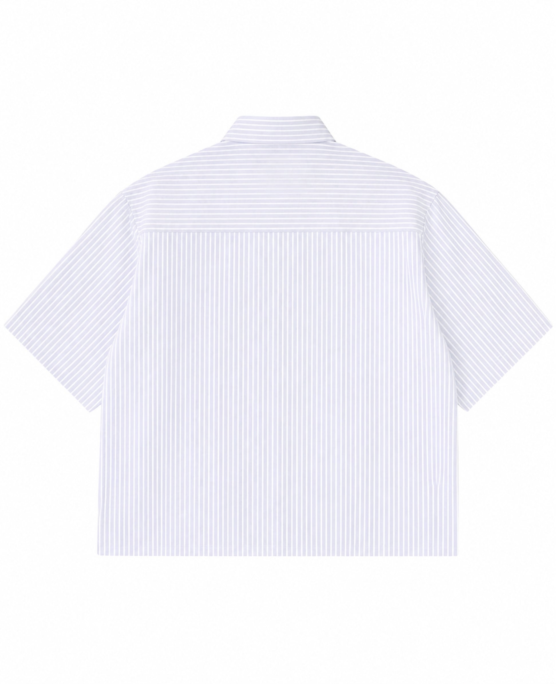 Blue Striped Oxford Boxy Shirt Back Design