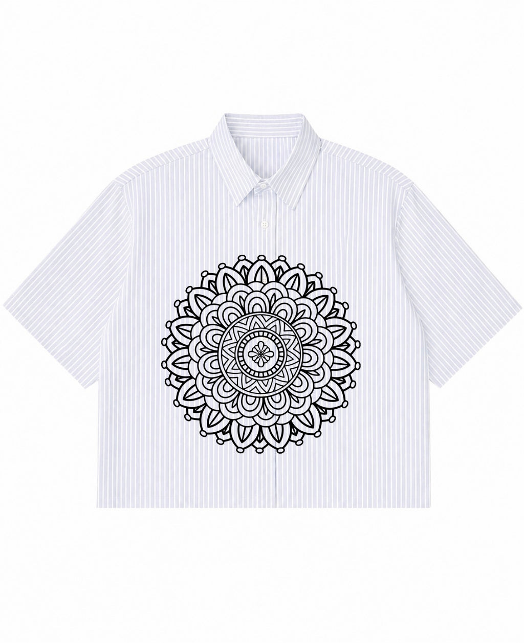 Blue Striped Oxford Boxy Shirt Front Design